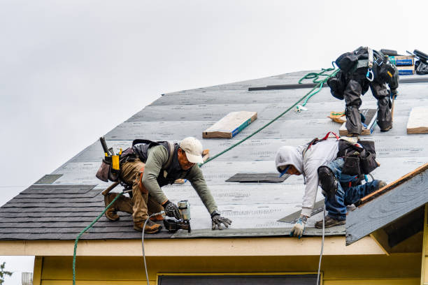 Professional Gutter Installation technician working in Arcadia, LA